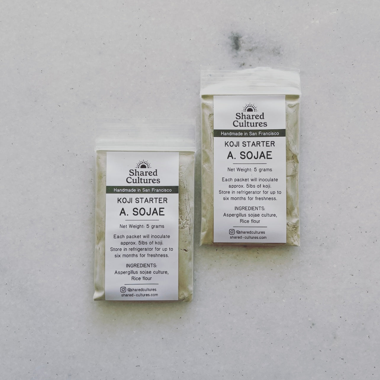 Asperigillus Sojae Koji Spores