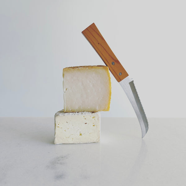 Morinoki Serrated Cheese Knife