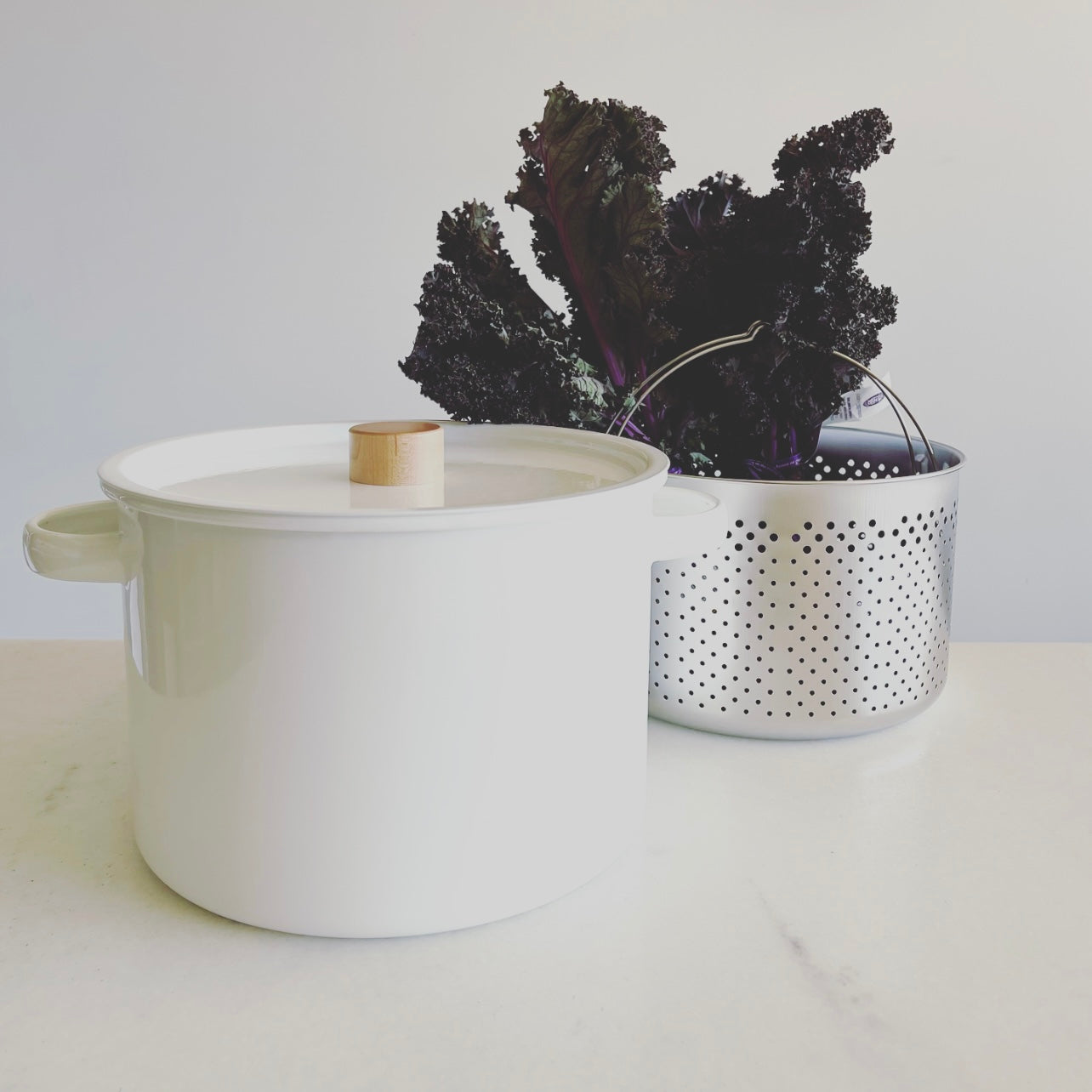 Stock Pot w/ Strainer Insert