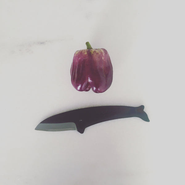 Kujira Knife- Fin Whale