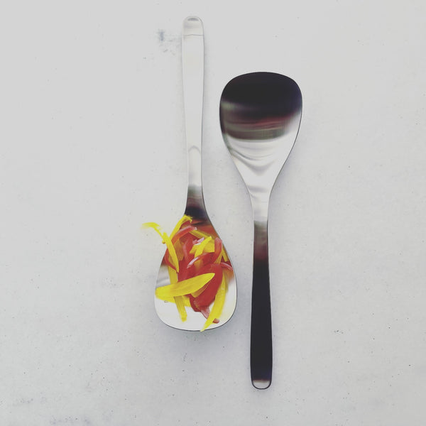 Serving & Plating Spoon