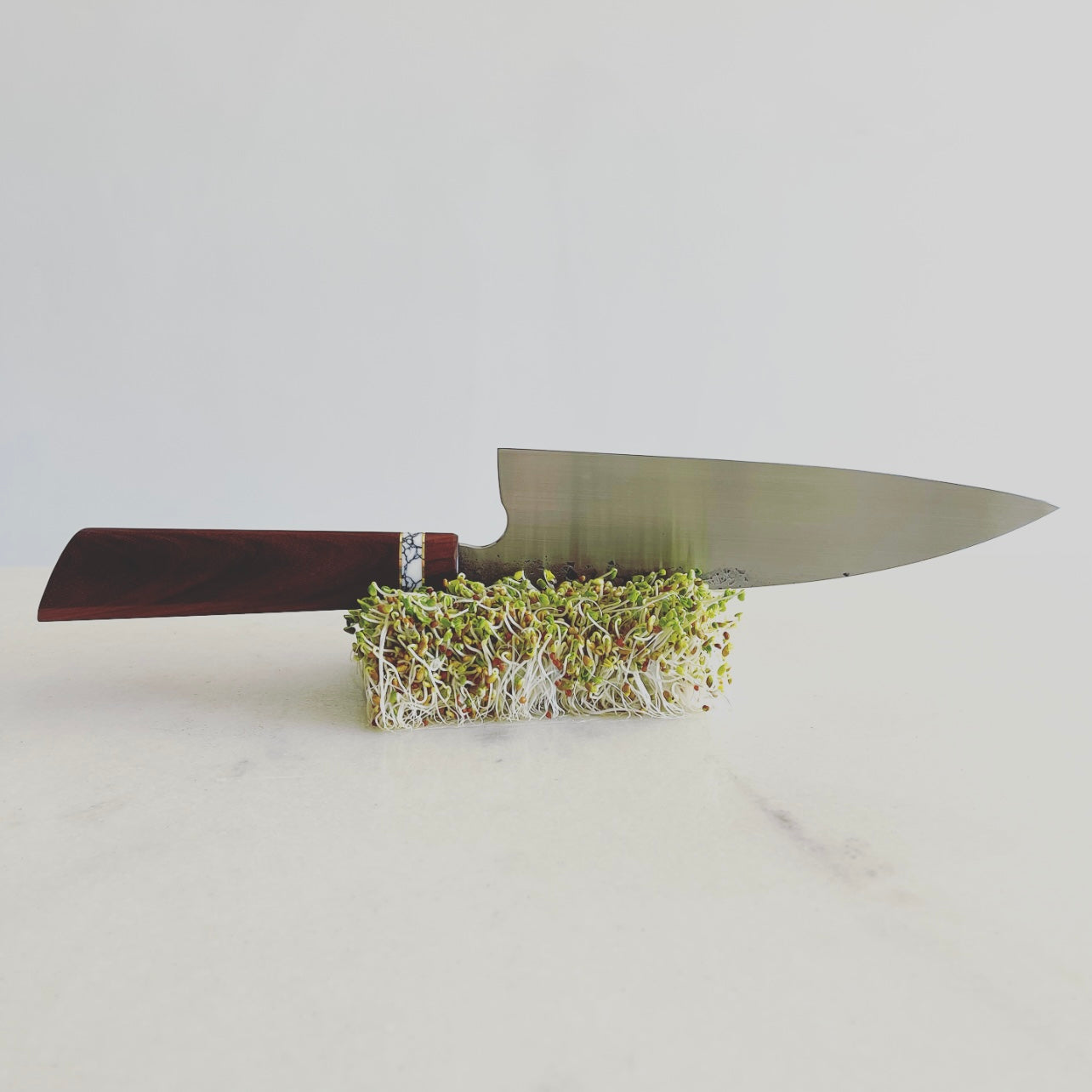 H&H Funayuki II